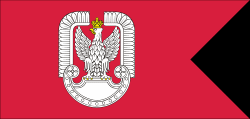 Polish Air Force logo